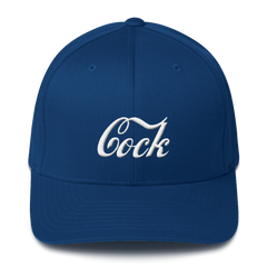embroidered gay pop culture hat; Cock