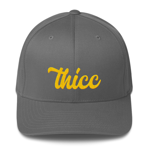 Thicc | Fitted Baseball Hat
