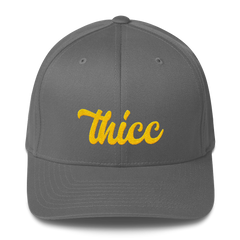 Thicc | Fitted Baseball Hat