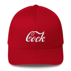 embroidered gay pop culture hat; Cock