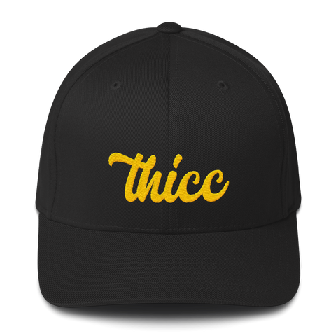 Thicc | Fitted Baseball Hat